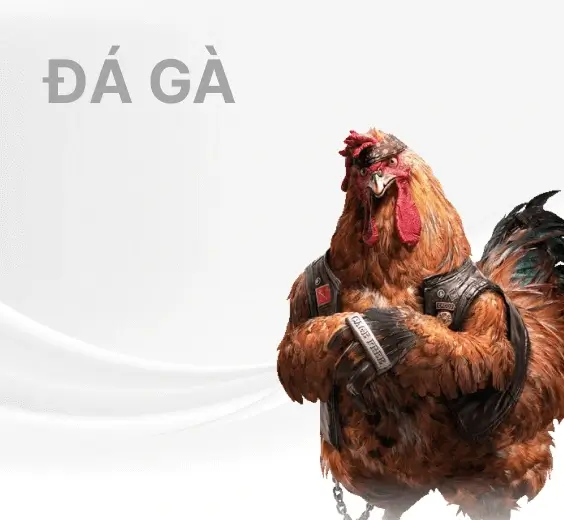 Đá gà 98win